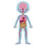 Puzzle educativo El cuerpo humano J02681 Janod 6