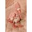 Peluche de actividad flamenco rosa LD8318 Little Dutch 3