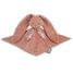 Doudou conejito terracotta Lapinoo 30 cm K972208 Kaloo 1