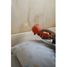 Kidyslide Linterna para cuentos infantiles - Circo KW-KIDYSLIDE-CI Kidywolf 2