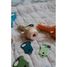 Kidyslide Linterna para cuentos infantiles - Historia KW-KIDYSLIDE-HI Kidywolf 6