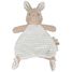 Paño de abrazo conejo Newborn LD8402 Little Dutch 2