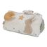 Triángulo de actividades Newborn LD8423 Little Dutch 2