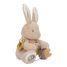 Peluche de actividad conejito LD8430 Little Dutch 2