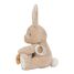 Peluche de actividad conejito LD8430 Little Dutch 6