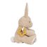 Peluche de actividad conejito LD8430 Little Dutch 5