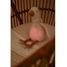 Ganso de peluche musical con luz LD8440 Little Dutch 9