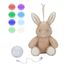 Conejo de peluche musical con luz LD8441 Little Dutch 2
