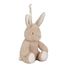 Conejo de peluche musical con luz LD8441 Little Dutch 8