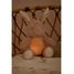 Conejo de peluche musical con luz LD8441 Little Dutch 3