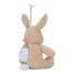 Conejo de peluche musical con luz LD8441 Little Dutch 4