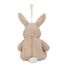 Conejo de peluche musical con luz LD8441 Little Dutch 5