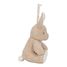 Conejo de peluche musical con luz LD8441 Little Dutch 7