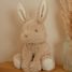 Peluche conejito Baby Bunny 15 cm LD8450 Little Dutch 2