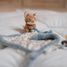 Paño de abrazo Forest Friends LD8927 Little Dutch 4