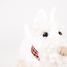 Lola el perro de peluche 17 cm EG130617 Egmont Toys 3
