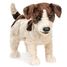 Marioneta de mano Jack Russell Terrier FO-2848 Folkmanis 1