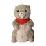 Peluche calentable Marmota WA-AR0300 Warmies 4