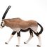 Figura de antílope Oryx PA50139-4529 Papo 3