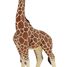 Figura jirafa macho PA50149-3612 Papo 5