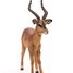 figura impala PA50186 Papo 3