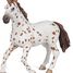 Figura de yegua Appaloosa PA51509-2918 Papo 7