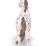 Figura de yegua Appaloosa PA51509-2918 Papo 5