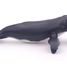 Figura de ballena jorobada PA56001-2933 Papo 2