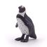 Figurina del Pinguino del Capo PA56017 Papo 5