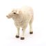 Figura de oveja merino PA51041-2941 Papo 3