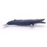 Ballena azul PA56037 Papo 2