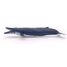 Ballena azul PA56037 Papo 6