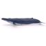 Ballena azul PA56037 Papo 4
