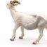Figura de cabra con cuernos blancos PA51144-2947 Papo 7