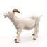 Figura de cabra con cuernos blancos PA51144-2947 Papo 3