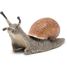 Figura de caracol PA-50262 Papo 6