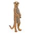 Figura de suricata de pie PA50206 Papo 6