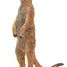 Figura de suricata de pie PA50206 Papo 5