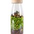 Botella sensorial Animales de la selva PB47646 Petit Boum 1