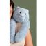 Peluche gato azul con peso 50 cm HO3480 Histoire d'Ours 2