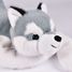 Peluche de perro Husky 50 cm HO3408 Histoire d'Ours 2