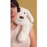 Peluche de perro con peso 50 cm HO3479 Histoire d'Ours 4