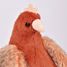 Peluche gallina con huevos dorados 28 cm HO3447 Histoire d'Ours 2