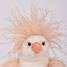 Peluche Gallina con frizz 20 cm HO3446 Histoire d'Ours 2
