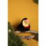 Peluche pájaro Tucán 15 cm HO3443 Histoire d'Ours 5