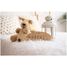 Placa decorativa personalizada - Estrellas VI-PL47 Vintiun 3