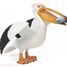 Pelican PA56009-2939 Papo 2