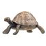 Figura de tortuga PA50013-2906 Papo 1