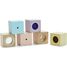 Bloques de madera para desarrollar los sentidos pastel PT5257 Plan Toys 2