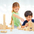 Bloques de construcción de madera de 50 piezas PT5502 Plan Toys 2